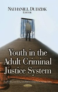 bokomslag Youth in the Adult Criminal Justice System