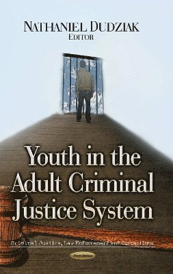 bokomslag Youth in the Adult Criminal Justice System