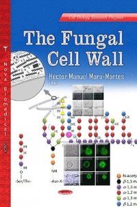 bokomslag Fungal Cell Wall