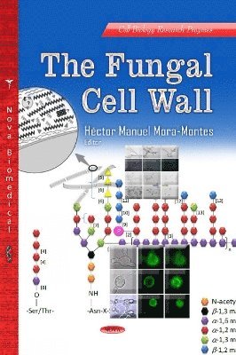bokomslag Fungal Cell Wall
