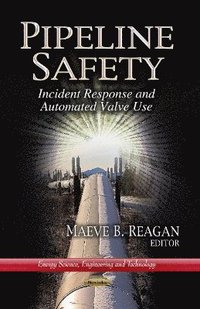 bokomslag Pipeline Safety