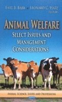 bokomslag Animal Welfare