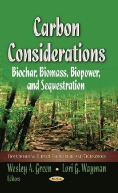 bokomslag Carbon Considerations