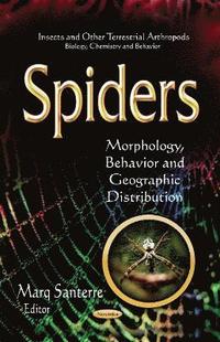 bokomslag Spiders