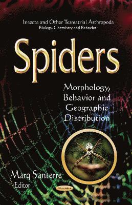 bokomslag Spiders