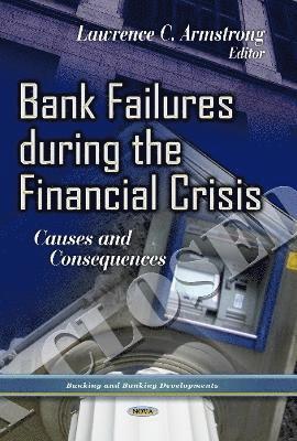 bokomslag Bank Failures During the Financial Crisis