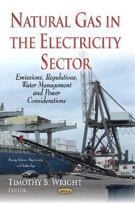 bokomslag Natural Gas in the Electricity Sector