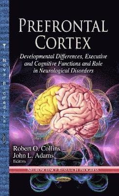 bokomslag Prefrontal Cortex