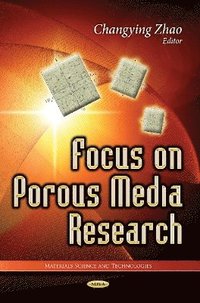 bokomslag Focus on Porous Media Research