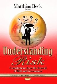 bokomslag Understanding Risk