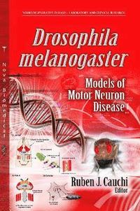 bokomslag Drosophila Melanogaster Models of Motor Neuron Disease