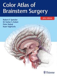 bokomslag Color Atlas of Brainstem Surgery