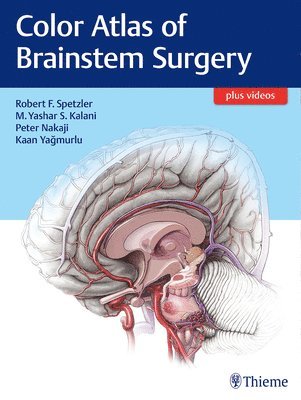 Color Atlas of Brainstem Surgery 1