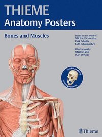 bokomslag THIEME Anatomy Posters Bones and Muscles, Latin Nomeclature