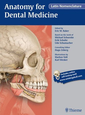 bokomslag Anatomy for Dental Medicine, Latin Nomenclature