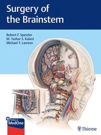 bokomslag Surgery of the Brainstem