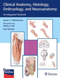 bokomslag Clinical Anatomy, Histology, Embryology, and Neuroanatomy