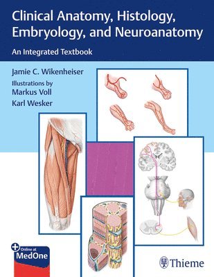 Clinical Anatomy, Histology, Embryology, and Neuroanatomy 1