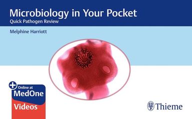 bokomslag Microbiology in Your Pocket