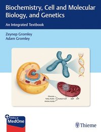 bokomslag Biochemistry, Cell and Molecular Biology, and Genetics