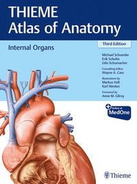 bokomslag Internal Organs (THIEME Atlas of Anatomy)