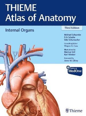 Michael Schuenke, Erik Schulte, Udo Schumacher, Wayne Cass - Internal Organs (THIEME Atlas of Anatomy), Häftad