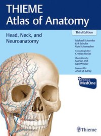 bokomslag Head, Neck, and Neuroanatomy (THIEME Atlas of Anatomy)