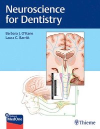 bokomslag Neuroscience for Dentistry