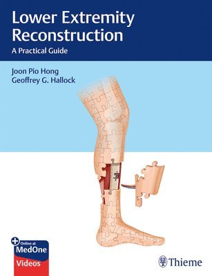 bokomslag Lower Extremity Reconstruction