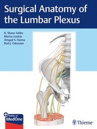 bokomslag Surgical Anatomy of the Lumbar Plexus