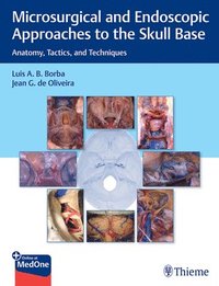 bokomslag Microsurgical and Endoscopic Approaches to the Skull Base