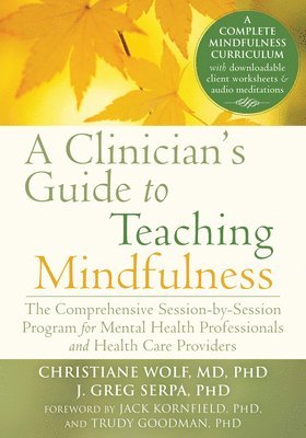 bokomslag A Clinician's Guide to Teaching Mindfulness