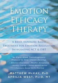 bokomslag Emotion Efficacy Therapy