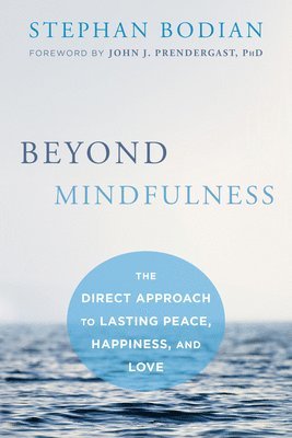 bokomslag Beyond Mindfulness