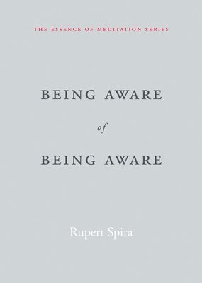 Being Aware of Being Aware 1