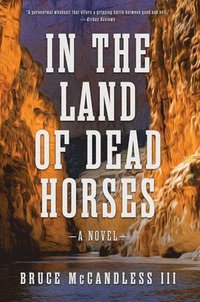 bokomslag In the Land of Dead Horses