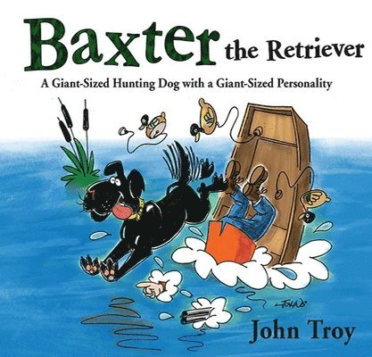 Baxter the Retriever 1