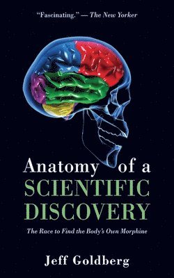 Jeff Goldberg - Anatomy of a Scientific Discovery, Häftad