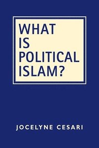 bokomslag What Is Political Islam?