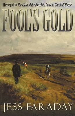 bokomslag Fool's Gold