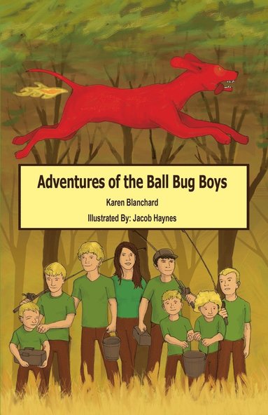 bokomslag Adventures of the Ball Bug Boys