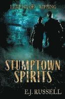bokomslag Stumptown Spirits