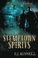 bokomslag Stumptown Spirits