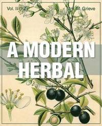 bokomslag Modern Herbal Vol 2