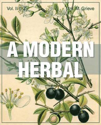 bokomslag Modern Herbal Vol 2