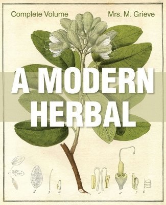 bokomslag A Modern Herbal