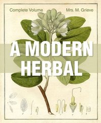 bokomslag A Modern Herbal