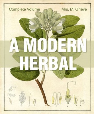 A Modern Herbal 1