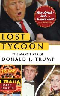 bokomslag Lost Tycoon