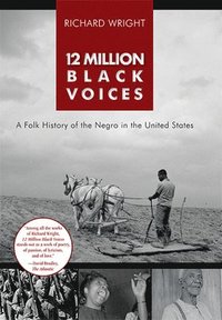 bokomslag 12 Million Black Voices